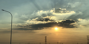 牟平悦旭技术优势